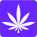 EsIcon:快速获取站点图标